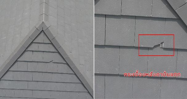 A close-up of a roof
AI-generated content may be incorrect.